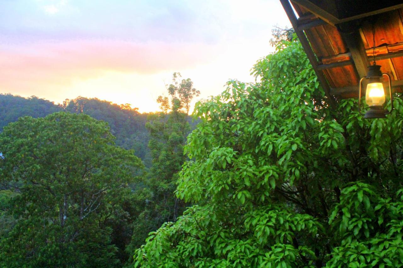 The Wild Trails Clarks Exotica , Munnar Hotel ภายนอก รูปภาพ