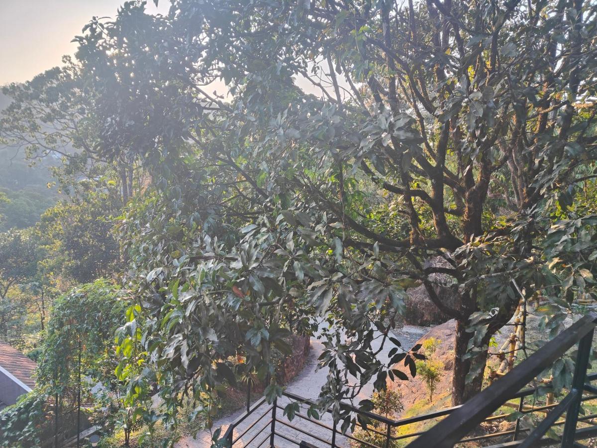 The Wild Trails Clarks Exotica , Munnar Hotel ภายนอก รูปภาพ